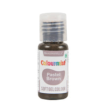 Load image into Gallery viewer, Colourmist Soft Gel Paste Food Color, ( Pastel Brown ), 20g | Edible Gel Colour For Fondant / Dessert / Baking |