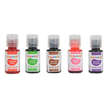 Load image into Gallery viewer, Colormist Soft Gel Vibrant Food Color Set Assorted 10g each, Pack of 10 (Red,Violet,Green,Orange,Brown,Blue,Pink,Yellow,Purple,Black) - BV 3045
