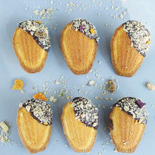 Load image into Gallery viewer, FineDecor Madeleine Pan (6-Cavity) Non-Stick Seashell Shape Madeleine Mold / Baking Mold, FD 3029