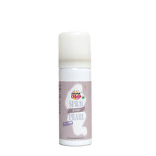 Load image into Gallery viewer, Colourglo Professionals Silver Spray Pearl Colour, 50 Ml