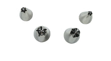 Load image into Gallery viewer, Wilton Blossom Tip Set (Nozzles), 4pcs