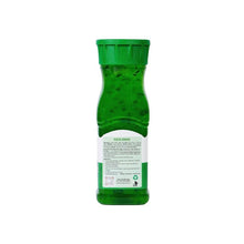 Load image into Gallery viewer, Fruitbell Fruit Crush - Pista - 250 ML
