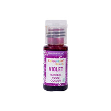 Load image into Gallery viewer, Colourmist Natural Edible Food Colour, (Violet), 20g | Natural Food Colour For Cream / Icing / Cake / Frosting / Dessert/ Milkshake / Baking |
