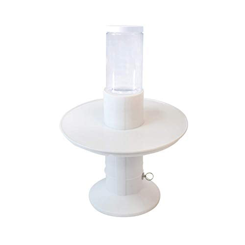 FINEDECOR Surprise Plastic Cake Stand (White, 10 inch)