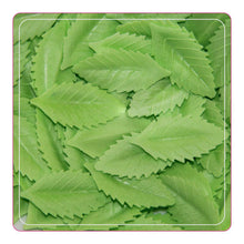 Load image into Gallery viewer, Foodecor Professionals Wafer Flowers (Leaves)- 200pcs -BV 2801
