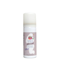 Load image into Gallery viewer, Colourglo Professionals Silver Spray Pearl Colour, 50 Ml
