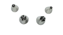 Load image into Gallery viewer, Wilton Blossom Tip Set (Nozzles), 4pcs

