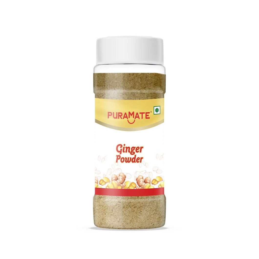 Puramate Seasoning - Ginger Powder, 45 Gm